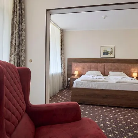 Hotel Constantzia Balneohotel Kostenets