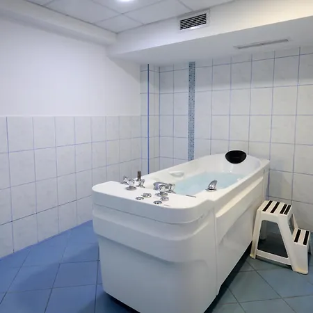 Constantzia Balneohotel 酒店 2*