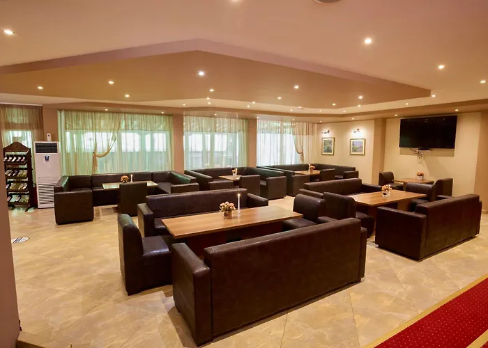 Constantzia Balneohotel 2* كوستينيتس