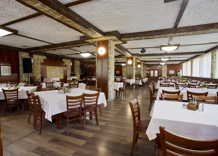 Constantzia Balneohotel كوستينيتس