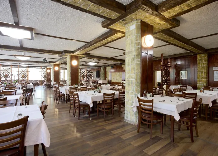 Constantzia Balneohotel فندق كوستينيتس