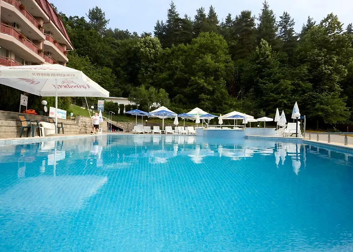 Constantzia Balneohotel فندق كوستينيتس